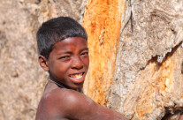 Under the Baobab II