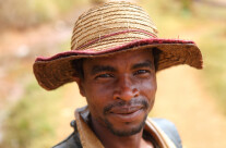 Farmer in the rice field