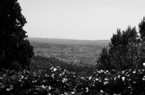 Vista da Fiesole